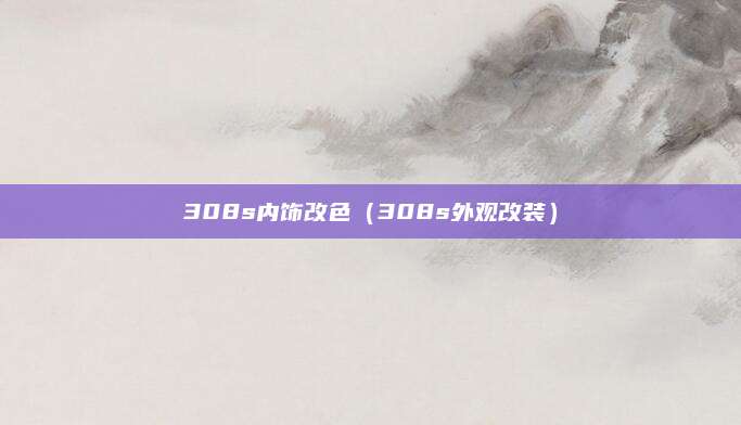 308s内饰改色（308s外观改装）