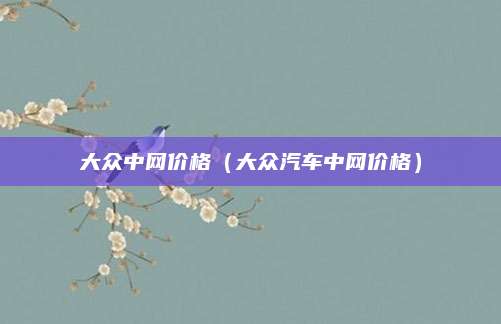 大众中网价格(大众汽车中网价格)