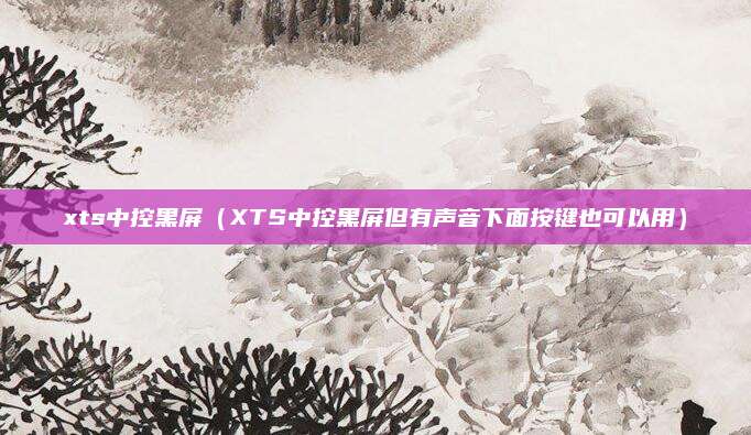 xts中控黑屏(XTS中控黑屏但有声音下面按键也可以用)