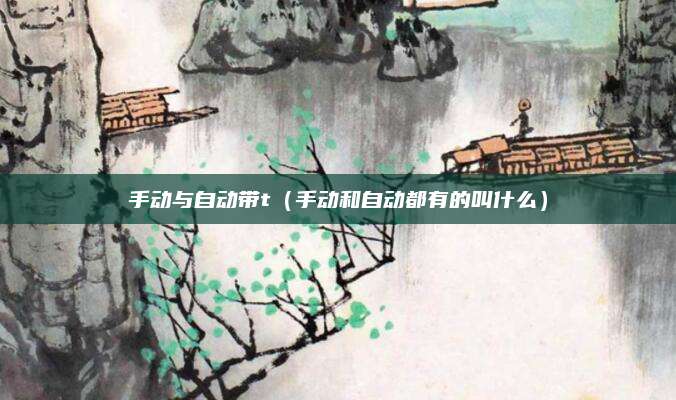 手动与自动带t(手动和自动都有的叫什么)