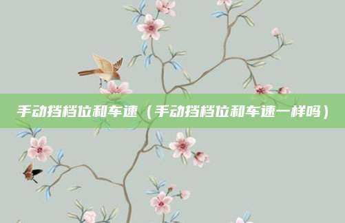 手动挡档位和车速(手动挡档位和车速一样吗)