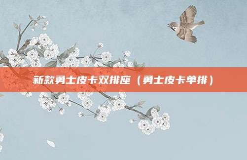 新款勇士皮卡双排座(勇士皮卡单排)
