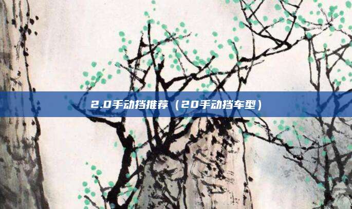 2.0手动挡推荐(20手动挡车型)