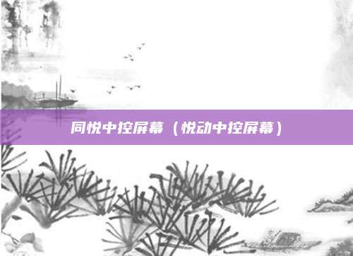 同悦中控屏幕(悦动中控屏幕)