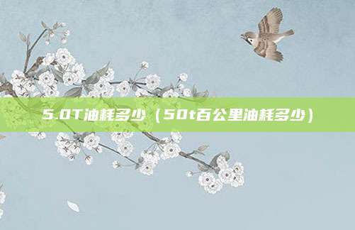 5.0T油耗多少(50t百公里油耗多少)
