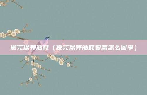 做完保养油耗(做完保养油耗变高怎么回事)