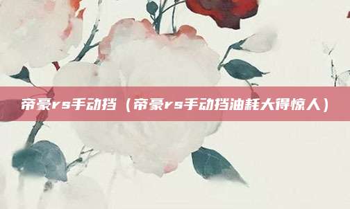 帝豪rs手动挡(帝豪rs手动挡油耗大得惊人)