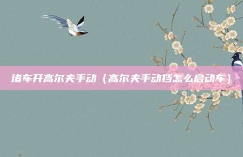 堵车开高尔夫手动(高尔夫手动挡怎么启动车)