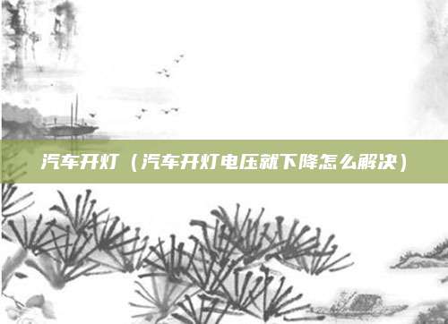 汽车开灯(汽车开灯电压就下降怎么解决)