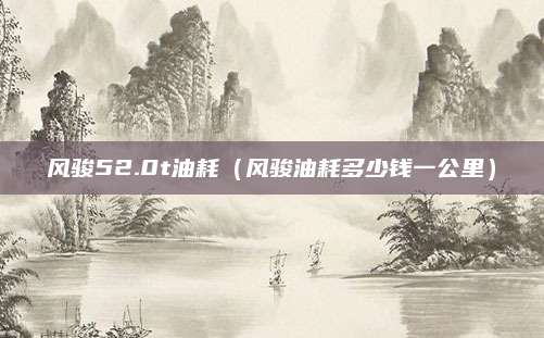 风骏52.0t油耗(风骏油耗多少钱一公里)