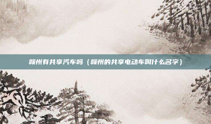 赣州有共享汽车吗(赣州的共享电动车叫什么名字)