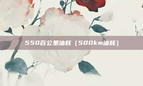 550百公里油耗(500km油耗)