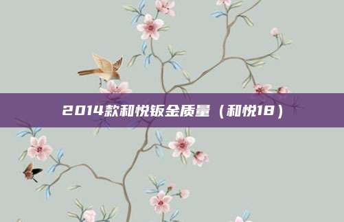 2014款和悦钣金质量(和悦18)