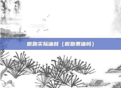 傲跑实际油耗(傲跑费油吗)