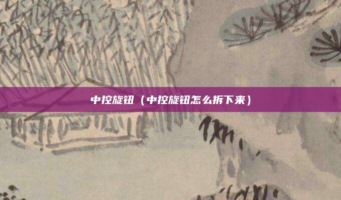 中控旋钮(中控旋钮怎么拆下来)