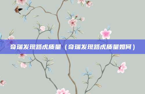 奇瑞发现路虎质量(奇瑞发现路虎质量如何)
