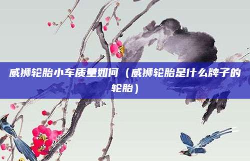 威狮轮胎小车质量如何(威狮轮胎是什么牌子的轮胎)