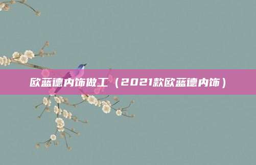 欧蓝德内饰做工(2021款欧蓝德内饰)