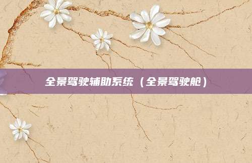 全景驾驶辅助系统(全景驾驶舱)