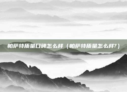 帕萨特质量口碑怎么样(帕萨特质量怎么样?)