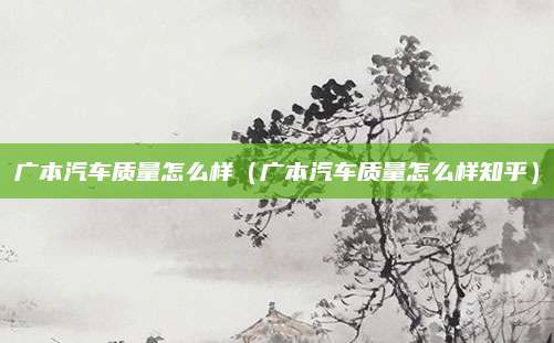 广本汽车质量怎么样(广本汽车质量怎么样知乎)