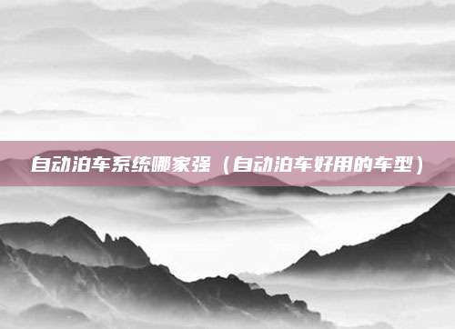 自动泊车系统哪家强(自动泊车好用的车型)