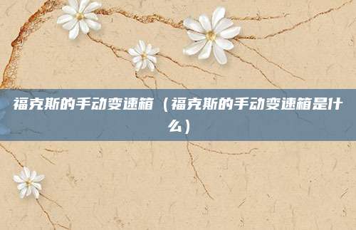 福克斯的手动变速箱(福克斯的手动变速箱是什么)