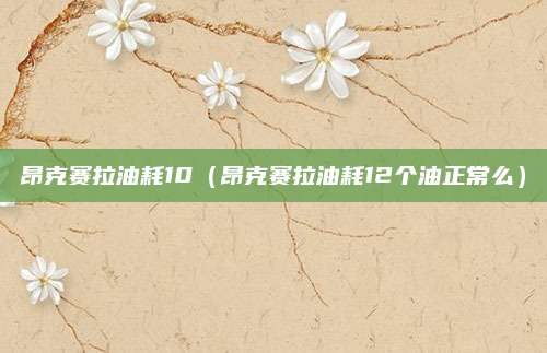 昂克赛拉油耗10(昂克赛拉油耗12个油正常么)