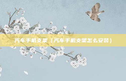 汽车手机支架(汽车手机支架怎么安装)
