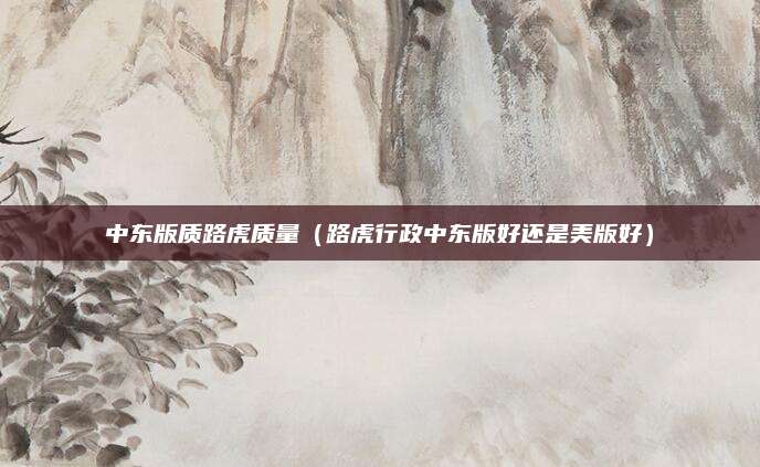 中东版质路虎质量(路虎行政中东版好还是美版好)