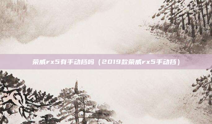 荣威rx5有手动档吗(2019款荣威rx5手动挡)