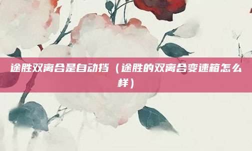 途胜双离合是自动挡(途胜的双离合变速箱怎么样)