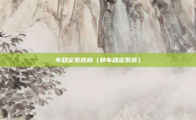 车稳定系统吗(轿车稳定系统)