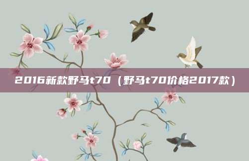 2016新款野马t70(野马t70价格2017款)