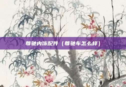 尊驰内饰配件(尊驰车怎么样)