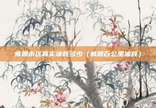 威朗市区真实油耗多少(威朗百公里油耗)