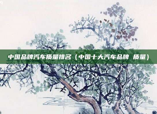 中国品牌汽车质量排名（中国十大汽车品牌 质量）