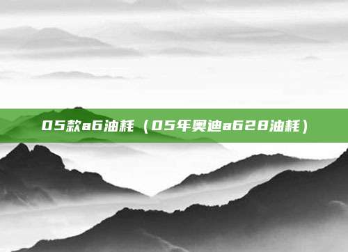 05款a6油耗(05年奥迪a628油耗)