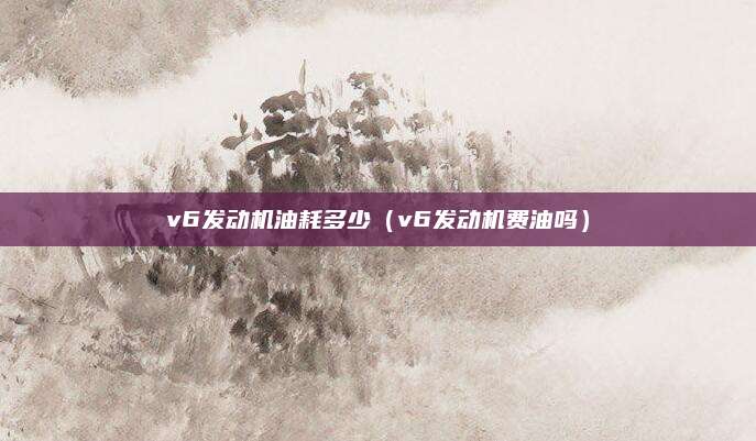 v6发动机油耗多少(v6发动机费油吗)