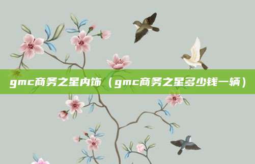 gmc商务之星内饰(gmc商务之星多少钱一辆)