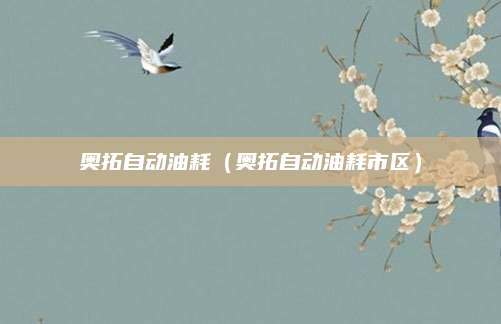 奥拓自动油耗(奥拓自动油耗市区)