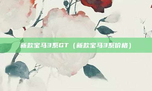 新款宝马3系GT(新款宝马3系价格)