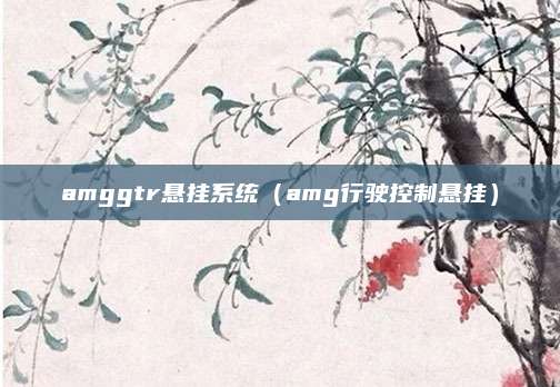amggtr悬挂系统(amg行驶控制悬挂)