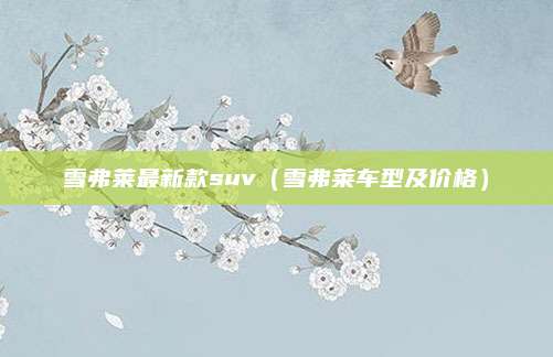 雪弗莱最新款suv(雪弗莱车型及价格)