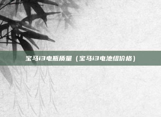 宝马i3电瓶质量(宝马i3电池组价格)