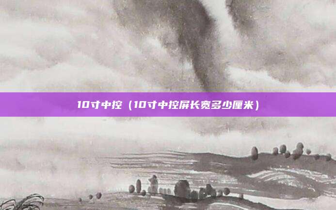 10寸中控(10寸中控屏长宽多少厘米)
