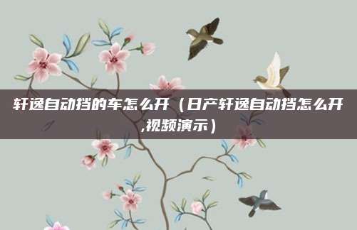 轩逸自动挡的车怎么开(日产轩逸自动挡怎么开,视频演示)