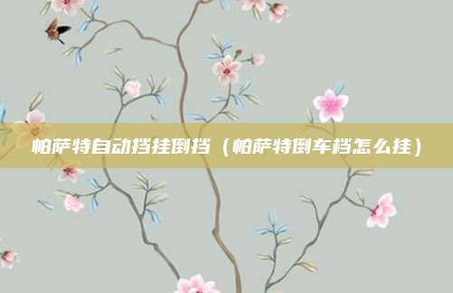 帕萨特自动挡挂倒挡(帕萨特倒车档怎么挂)