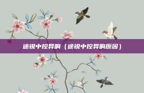 途锐中控异响(途锐中控异响原因)