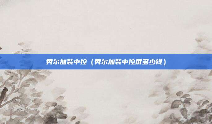 秀尔加装中控(秀尔加装中控屏多少钱)